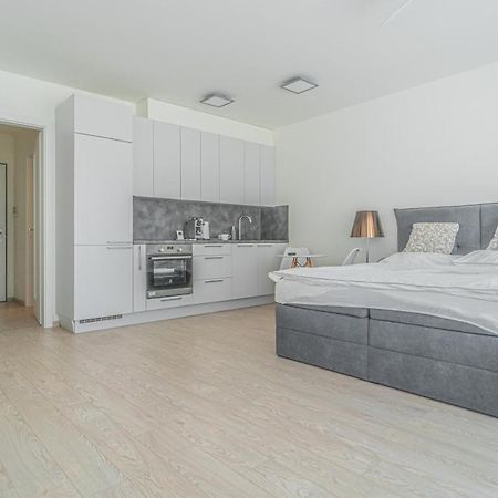 Apartment Karel With Garage Parking براغ المظهر الخارجي الصورة