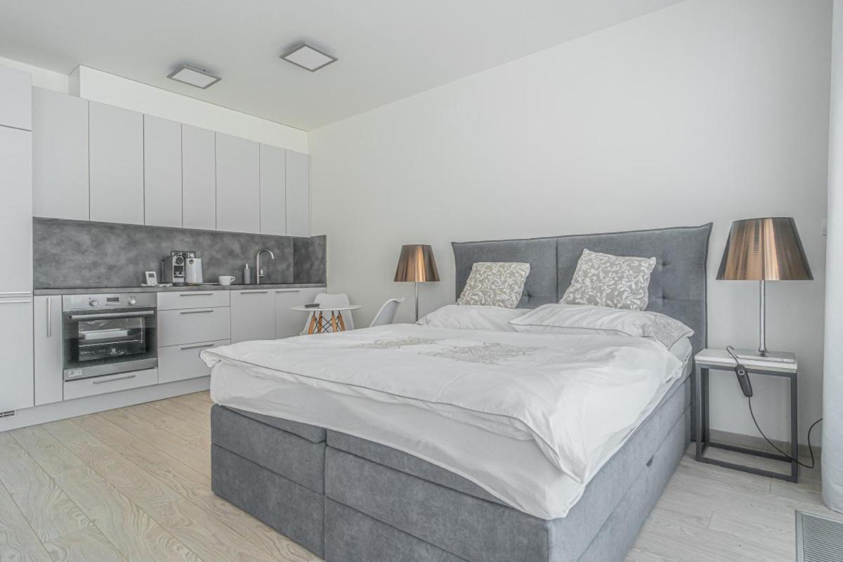 Apartment Karel With Garage Parking براغ المظهر الخارجي الصورة