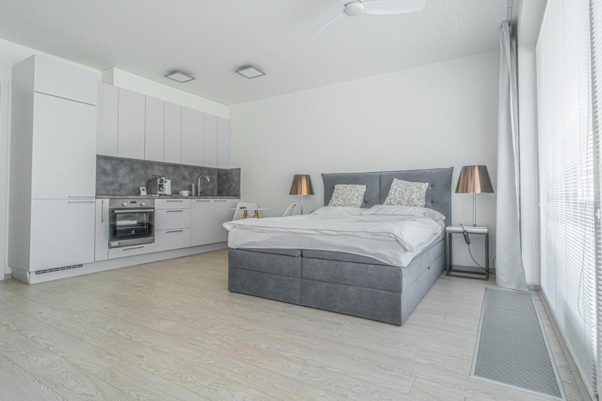Apartment Karel With Garage Parking براغ المظهر الخارجي الصورة