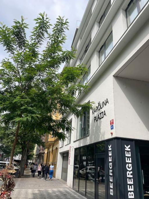 Apartment Karel With Garage Parking براغ المظهر الخارجي الصورة